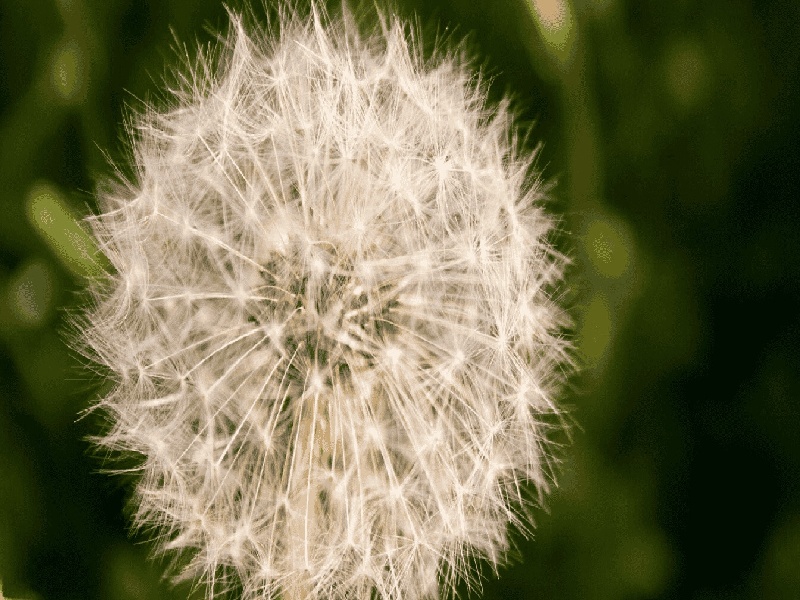 <strong>不育检查费用（试管多胞胎几率）</strong>